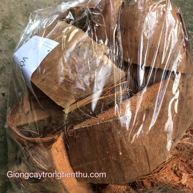 COMBO-3 LOẠI GIÁ THỂ TRỒNG LAN