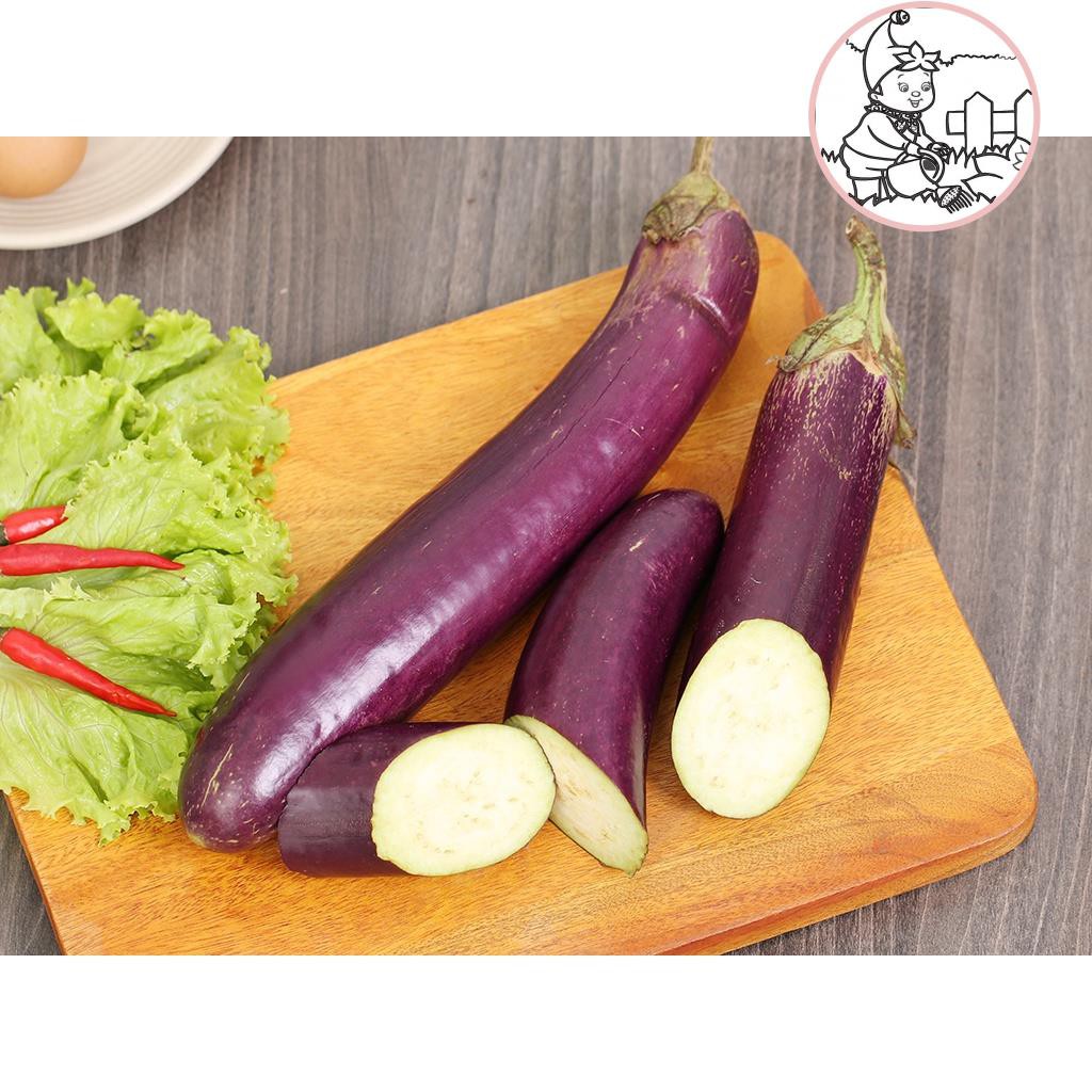 HẠT CÀ TÍM DÀI F1 - GÓI 1 GRAM