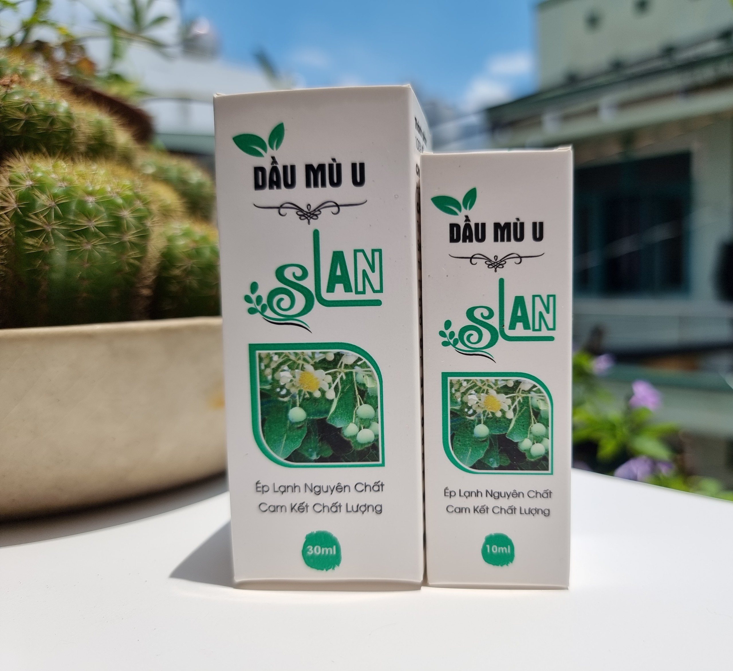 Dầu Mù U Slan