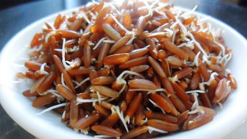 [HCM]GẠO MẦM VIBIGABA -HỘP 1KG