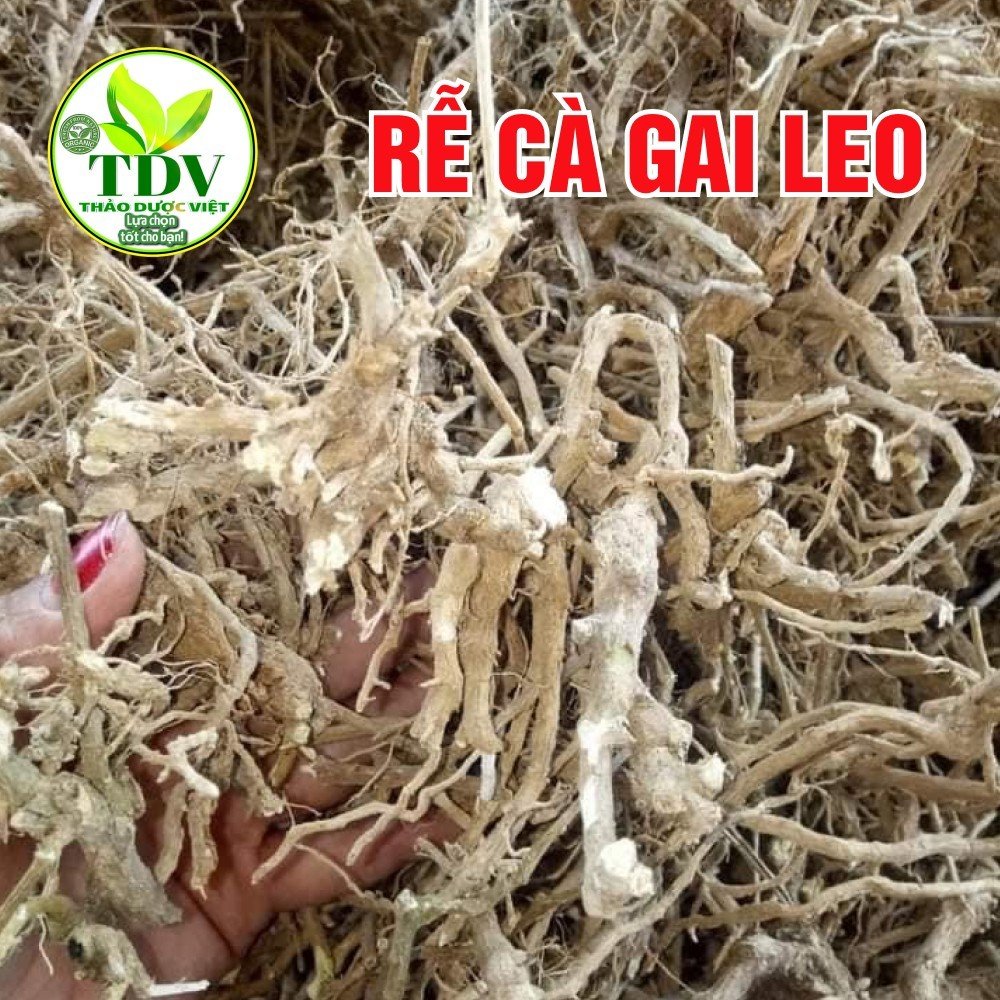 500g Rể cà gai leo nguyên chất