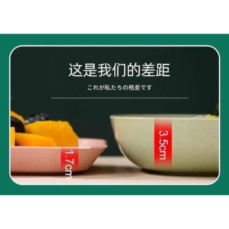 Sét 8 Đĩa Lúa Mạch FREESHIP Bộ Đĩa Lúa Mạch Hót 2021