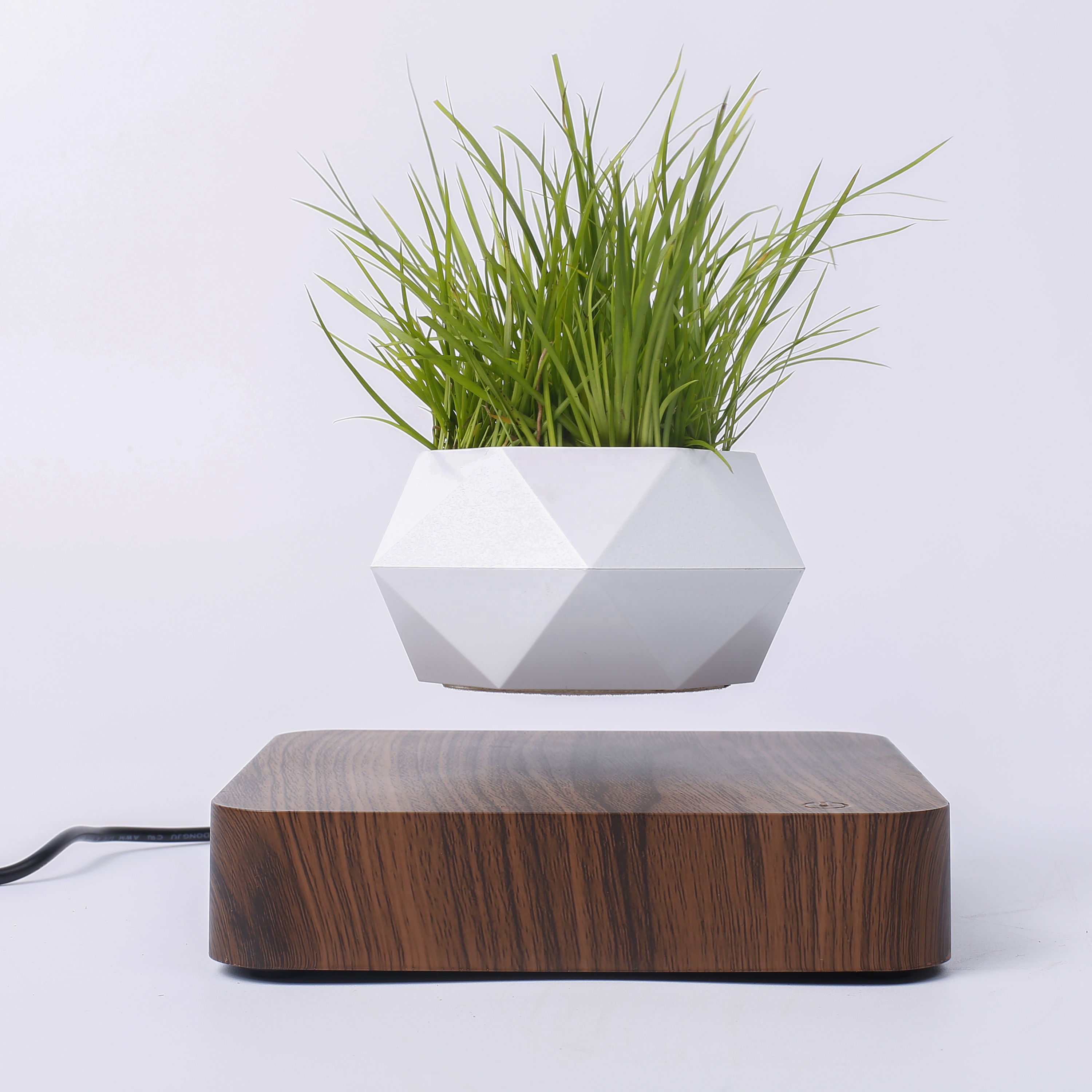 kệ trưng bày sản phẩm bonsai bay lơ lửng