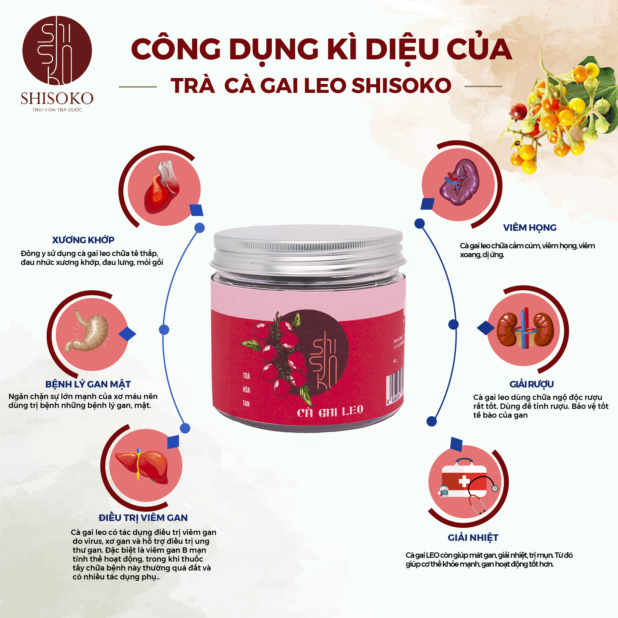 Trà Hòa Tan Cà Gai Leo Shisoko