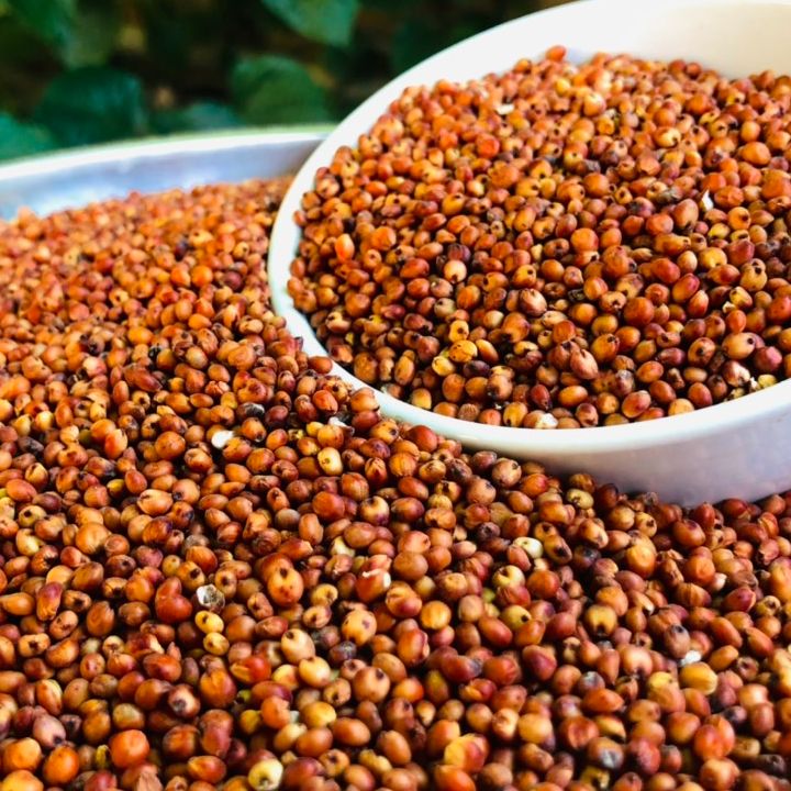 1kg hạt Bobo đỏ  , Ý Dĩ ( thức ăn yêu thích gà đá, chim cảnh... )