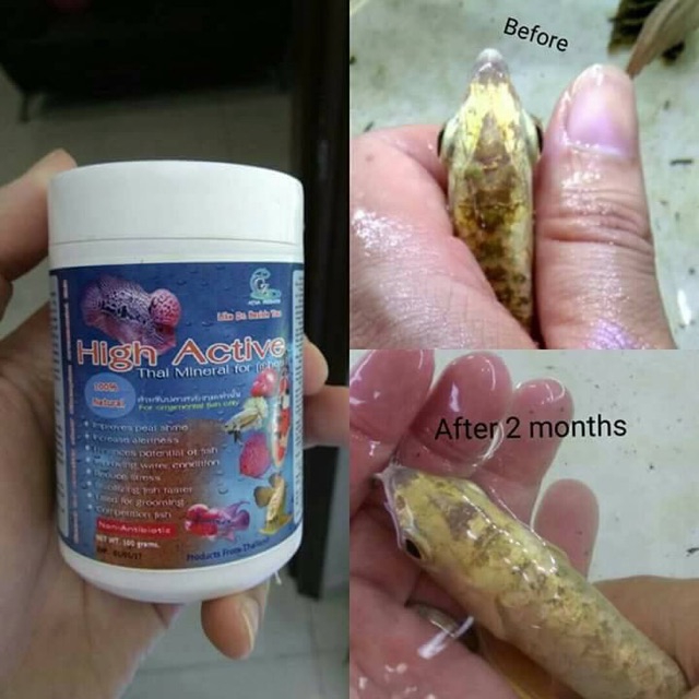 Khoáng Chất High Active 100G Cho Cá Cảnh ( Hàng  )