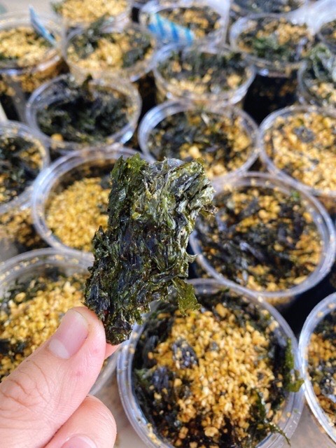 [ HCM ] hũ 150gram Rong biển cháy tỏi