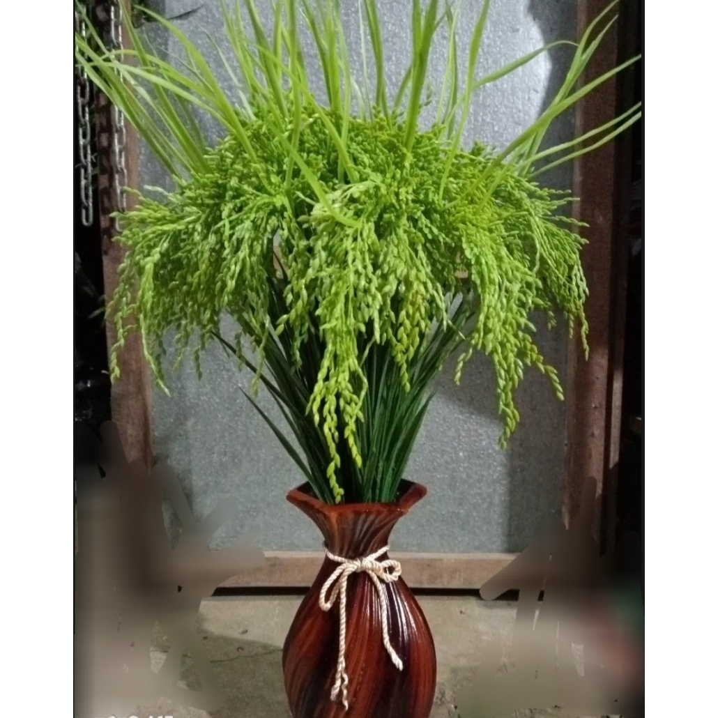 LÚA GIẢ. CÂY LÚA GIẢ 2 MÀU XANH ,VÀNG ( CAO 70CM)
