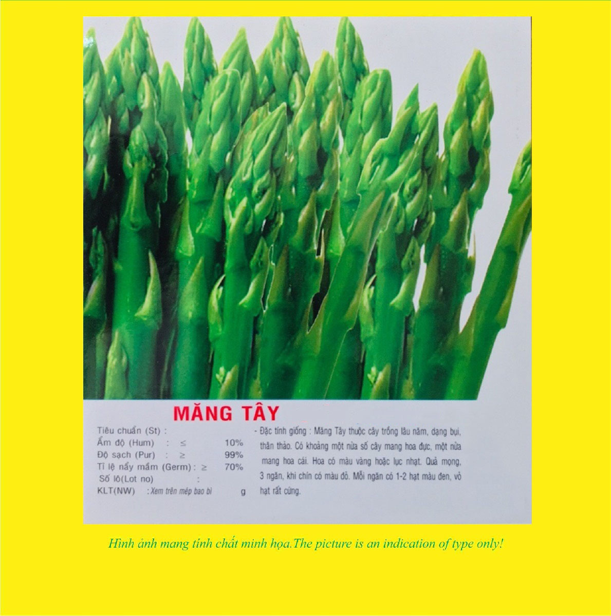 Hạt giống Măng Tây VTP40 | Vạn Tín Store
