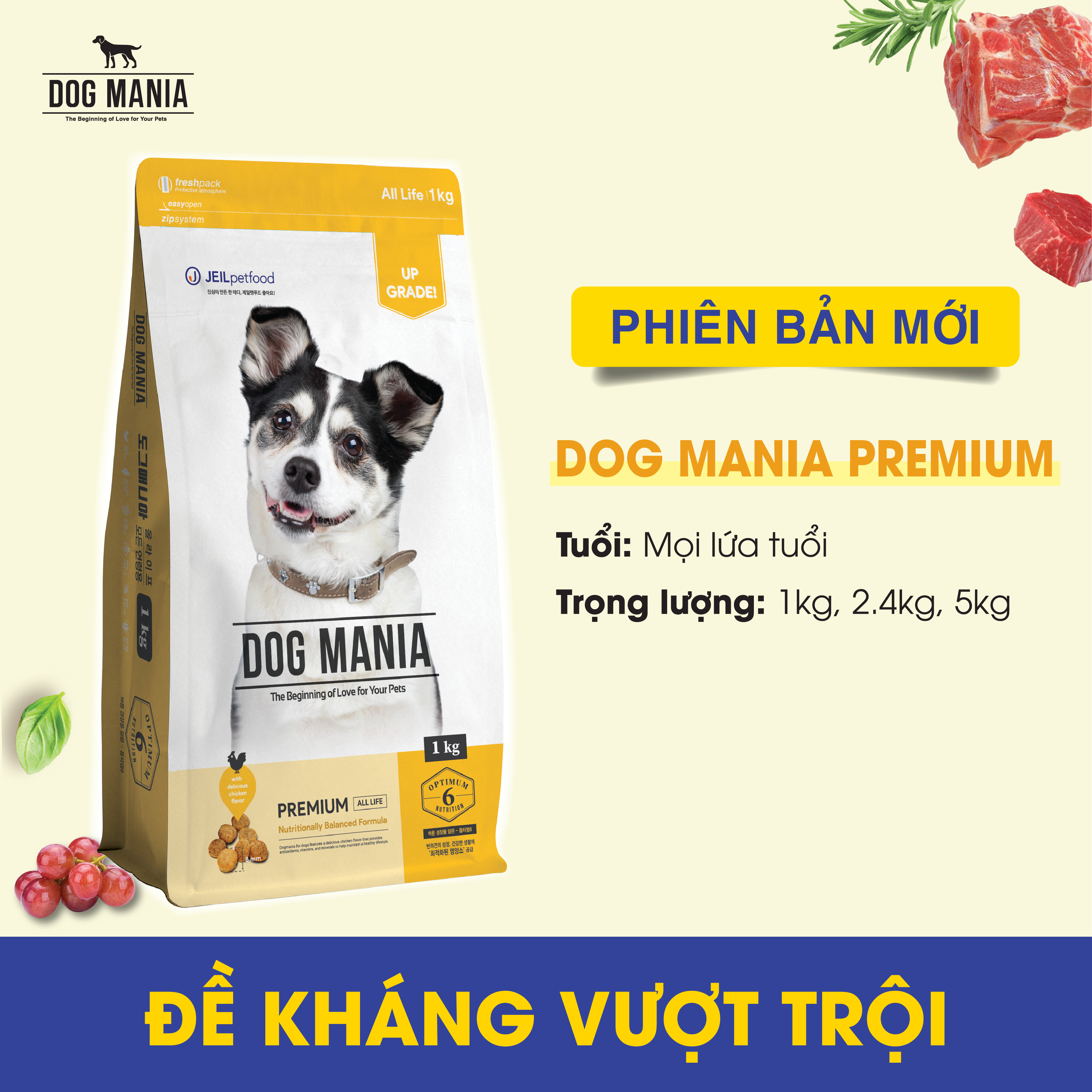 (Mua 1 TẶNG 2 HÀNG MẪU) Thức ăn hạt cho chó mọi lứa tuổi Dog Mania túi 1kg