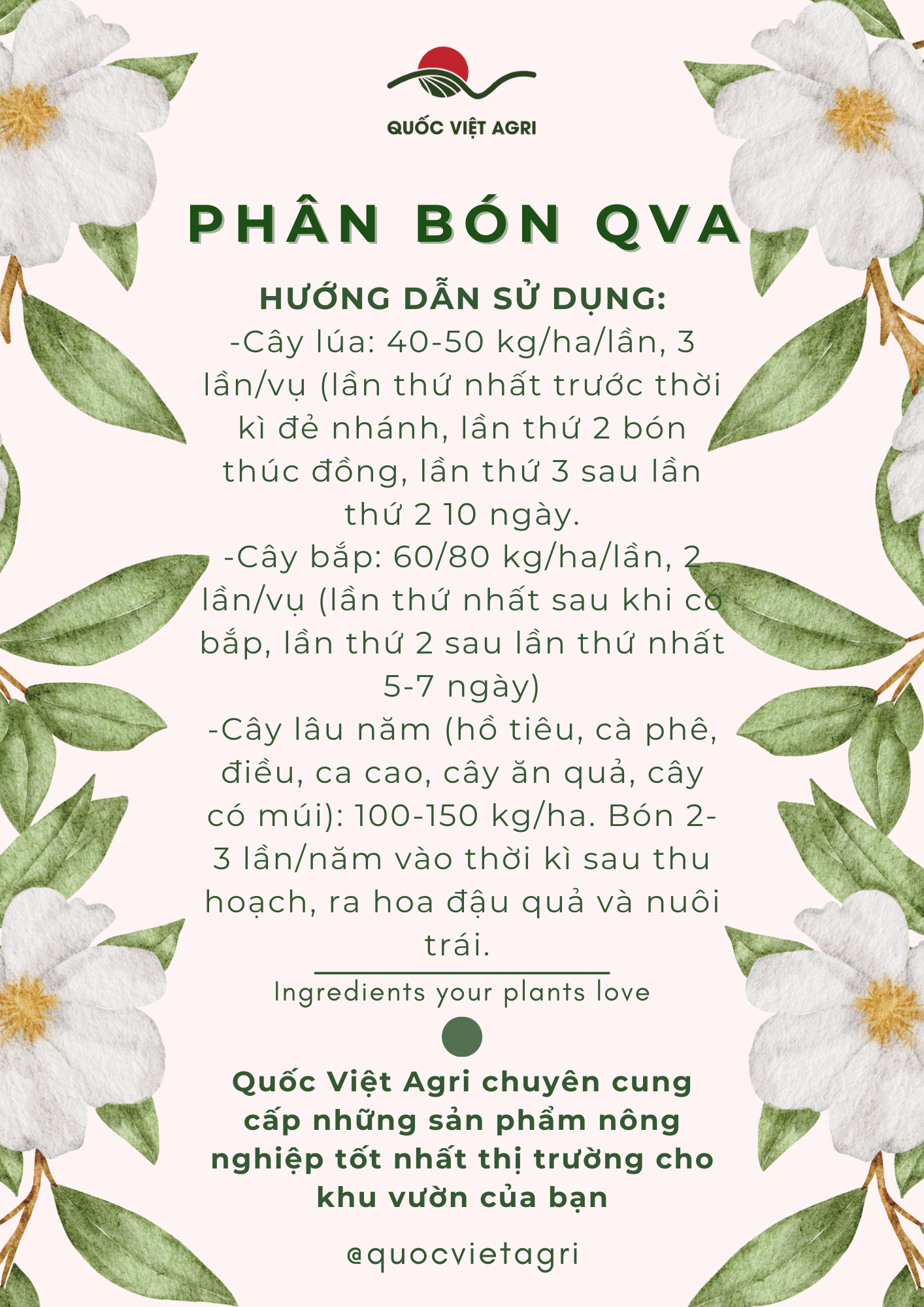 Phân bón QVA CALCIUM NITRATE (500g-3kg)