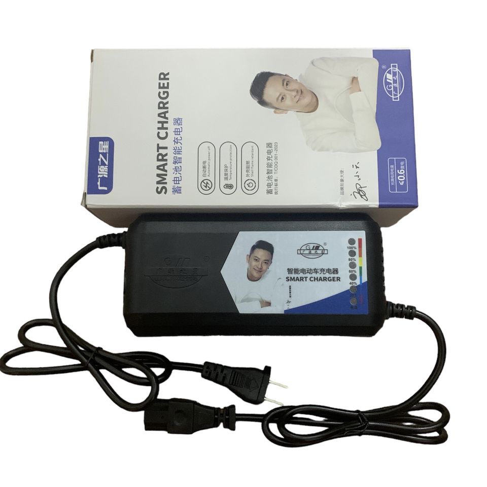 Sạc Xe Đạp Điện 48V Chống Phồng Bình (xe ninja, 133S, Pega, Zomer, Vespa... Xe 4 Bình Ắc Quy)