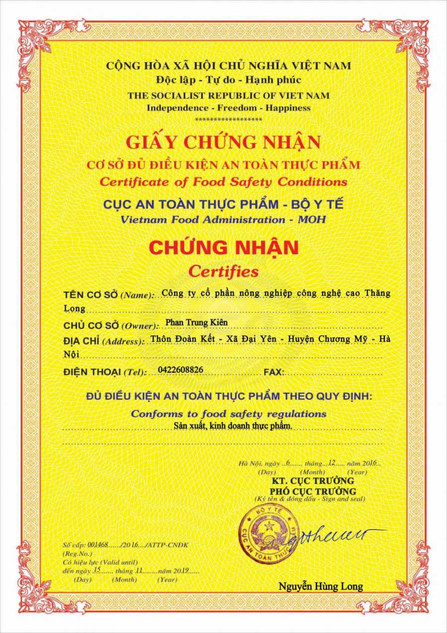 Trà túi lọc cà gai leo Sadu bich 1Kg (gồm 200 túi lọc)