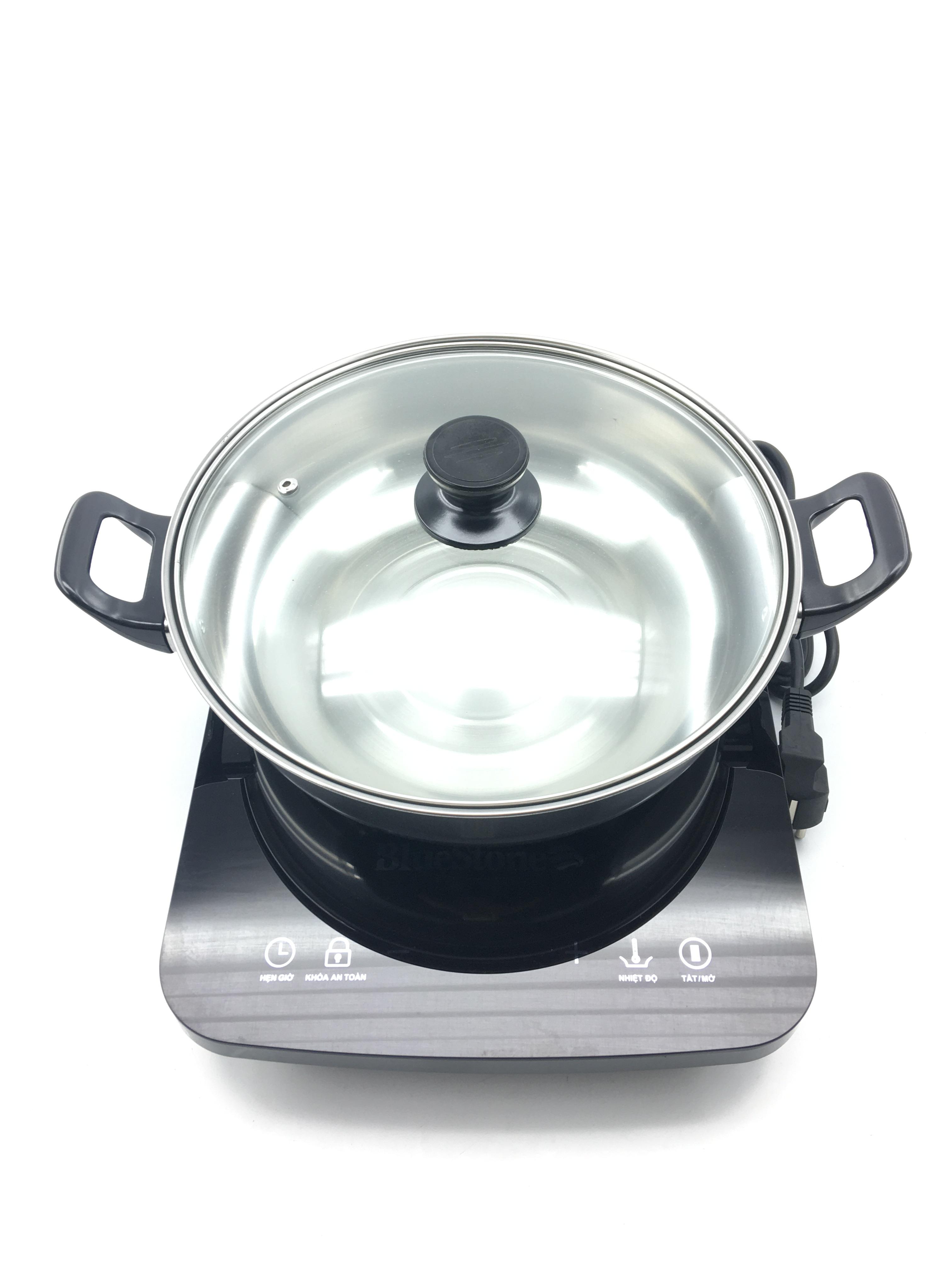 Bếp từ Bluestone ICB-6617