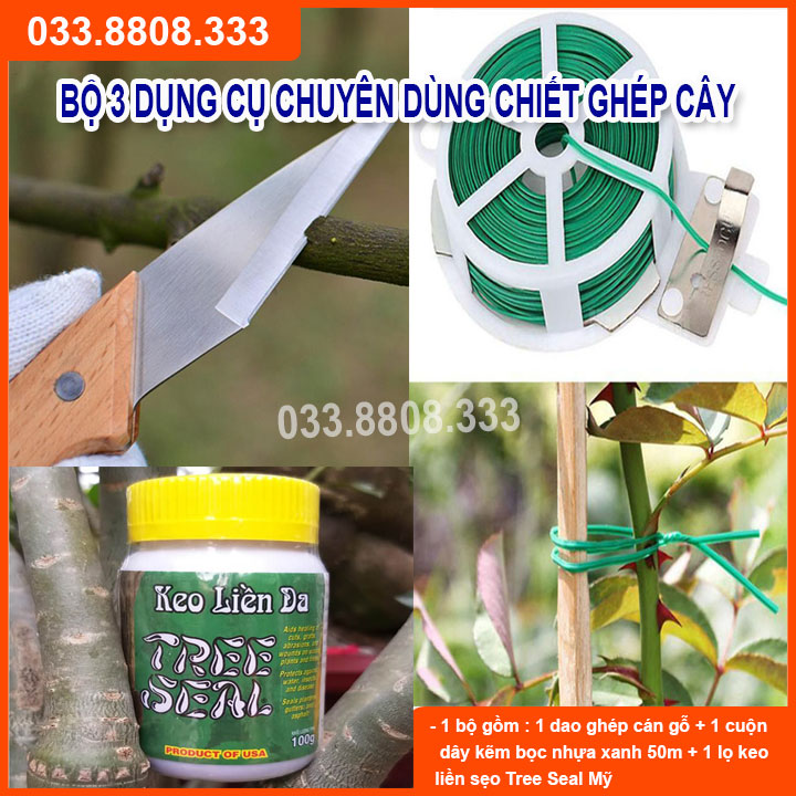 BỘ ĐỒ DÙNG CHUYÊN GHÉP UỐN CÂY ( DAO GẬP CÁN GỖ - DÂY XANH 50M- KEO GHÉP CÂY TREE SEAL 100ML)