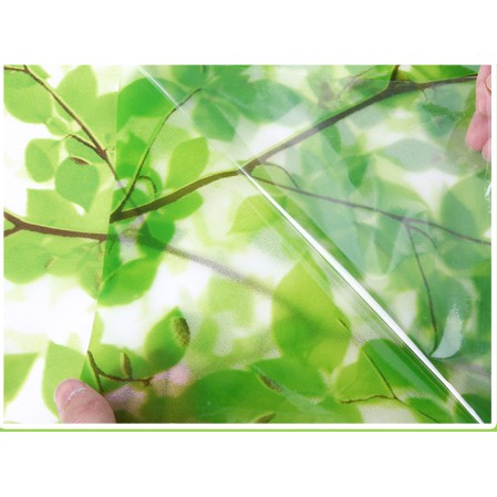 Giấy dán kính rừng xanh - khổ rộng 0.45m