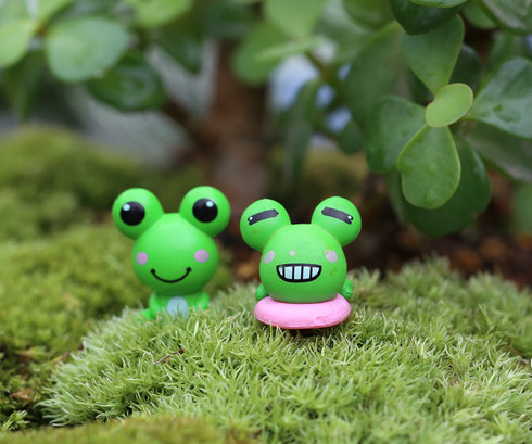 Tiểu cảnh - Ếch xanh nhỏ làm tiểu cảnh terrarium/ mô hình trang trí