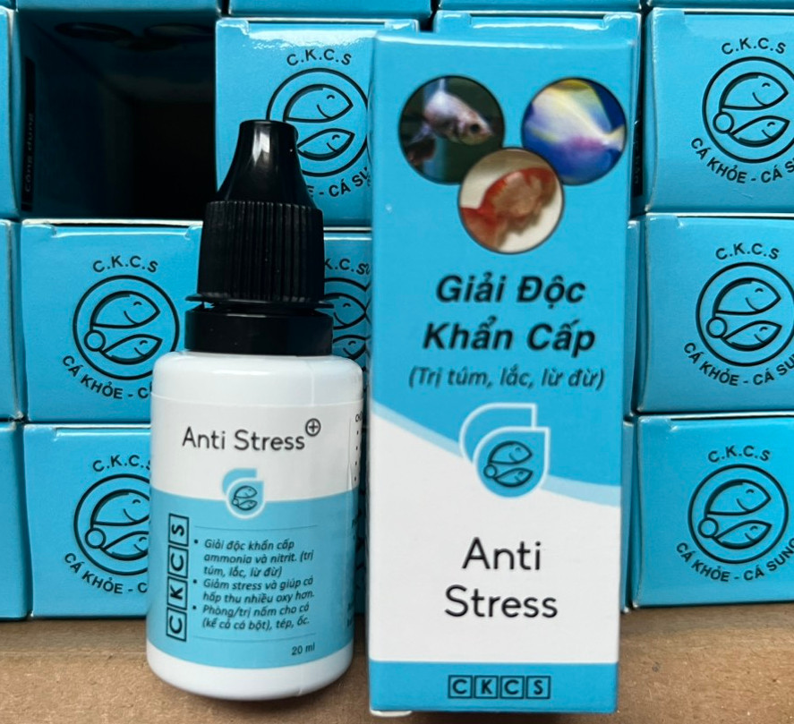 Anti Stress (túm lắc, lừ đừ) và ParaKill (nấm, ký sinh trùng) cho cá cảnh