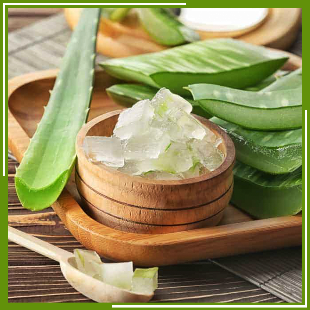 HCM - Lá nha đam (500 g) - [Giao nhanh TPHCM]