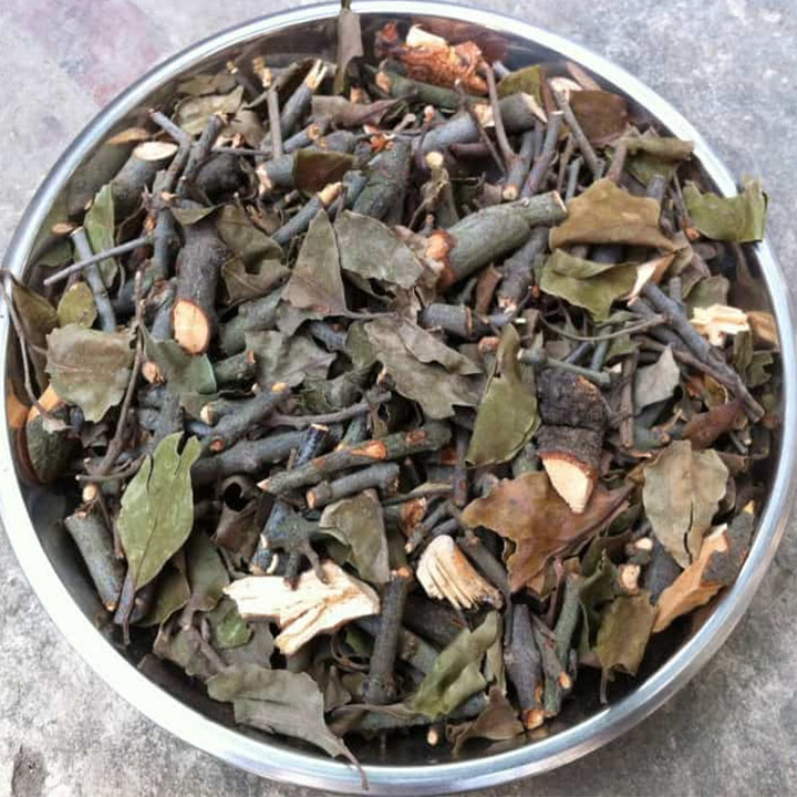 cây tầm gửi gạo khô 1kg
