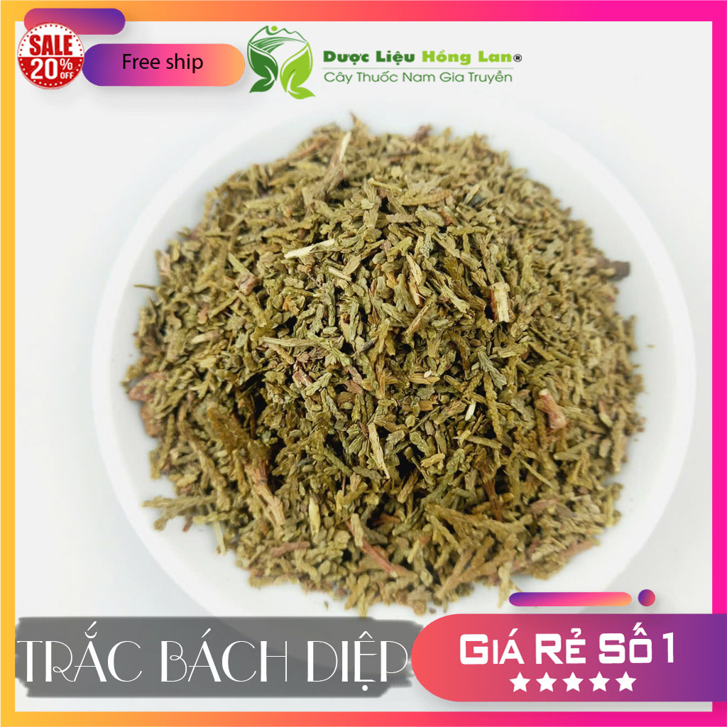 [FreeshipMAX] ✅[THƯỢNG HẠNG] 100g Trắc Bách Diệp đẹp loại 1 - (Hàng chính hãng)