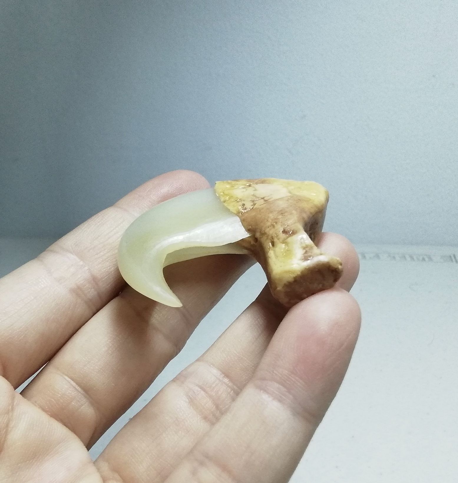 MÓNG NHƯ THẬT SIZE 5CM