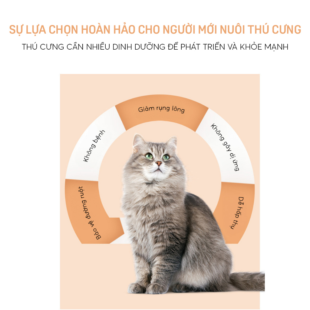 Gan Vịt Sấy Khô Cho Mèo Chó MASTERCARE 100gr