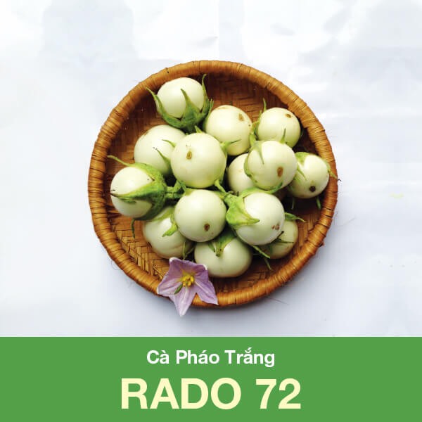[HCM]Hạt giống cà pháo trắng Rado 72 RD gói 0.5gr