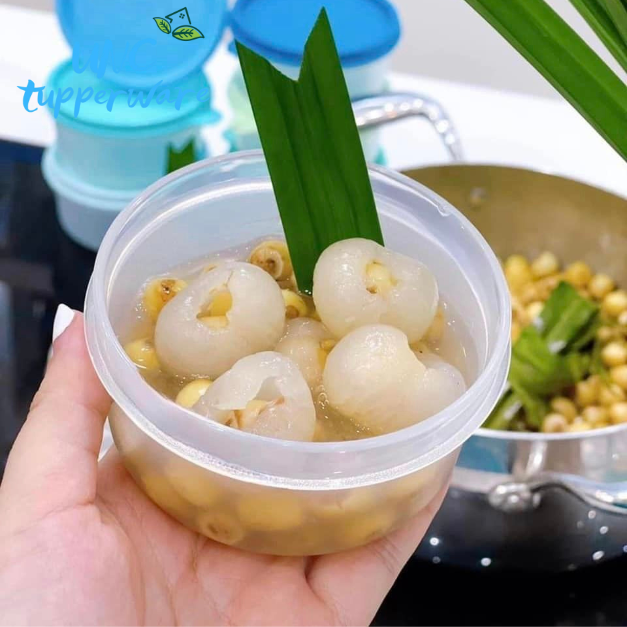 Bộ hộp bảo quản thực phẩm Tupperware Small Server 200ml (6 hộp) - Màu mới