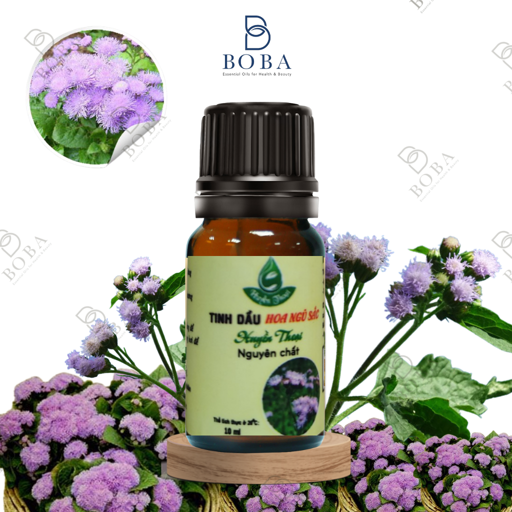 Tinh Dầu Ngũ Sắc Huyền Thoại