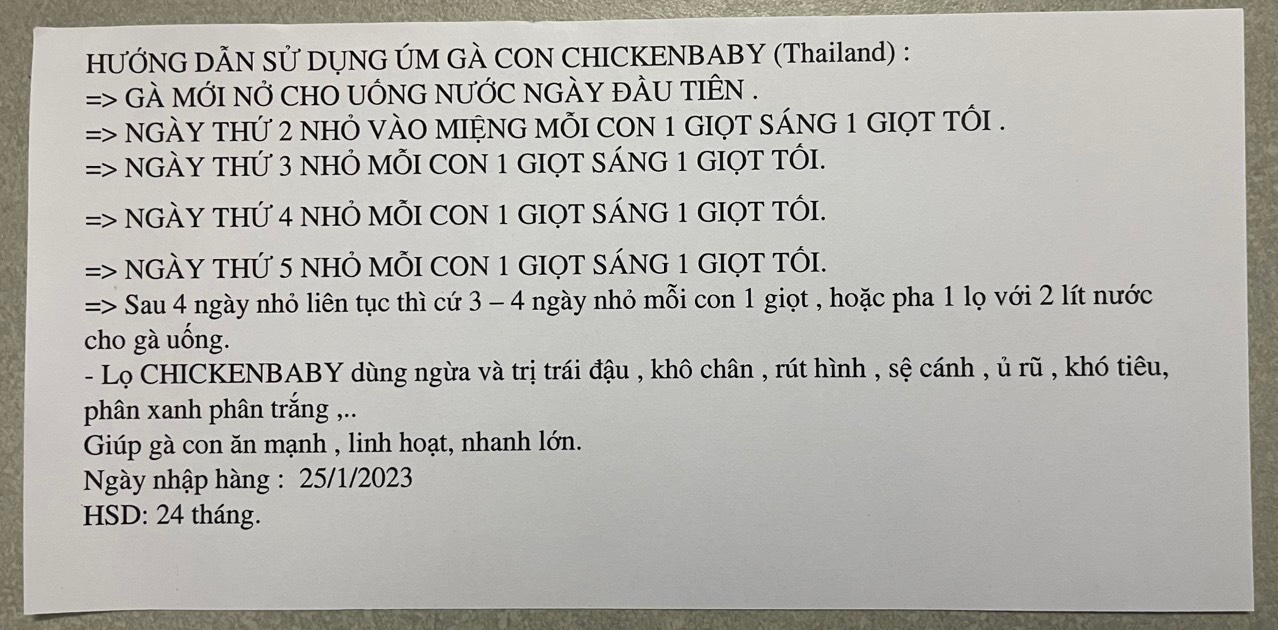 ÚM GÀ CON MỚI NỞ SIÊU ĐỈNH, CHICKEN BABY