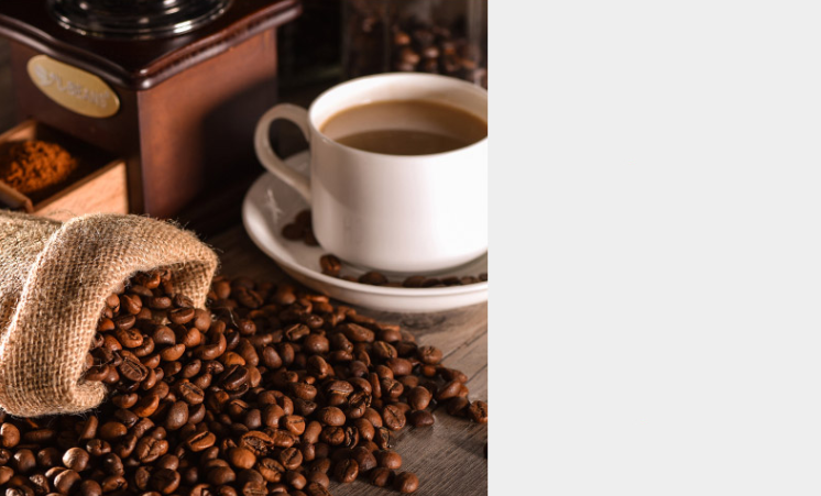 Máy Nghiền Bột [Thực phẩm cứng] Đa Năng Mini, Máy Xay Ngũ Cốc, Cafe Siêu Tốc