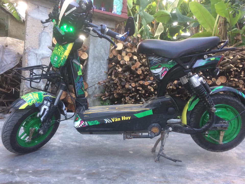 TEM TRÙM XE ĐIỆN 133S-24