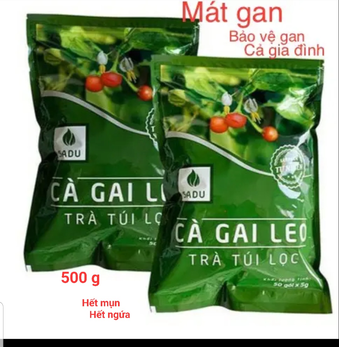 [500gr] Trà túi lọc Cà Gai Leo SaDu,(100 túi lọc) Tea