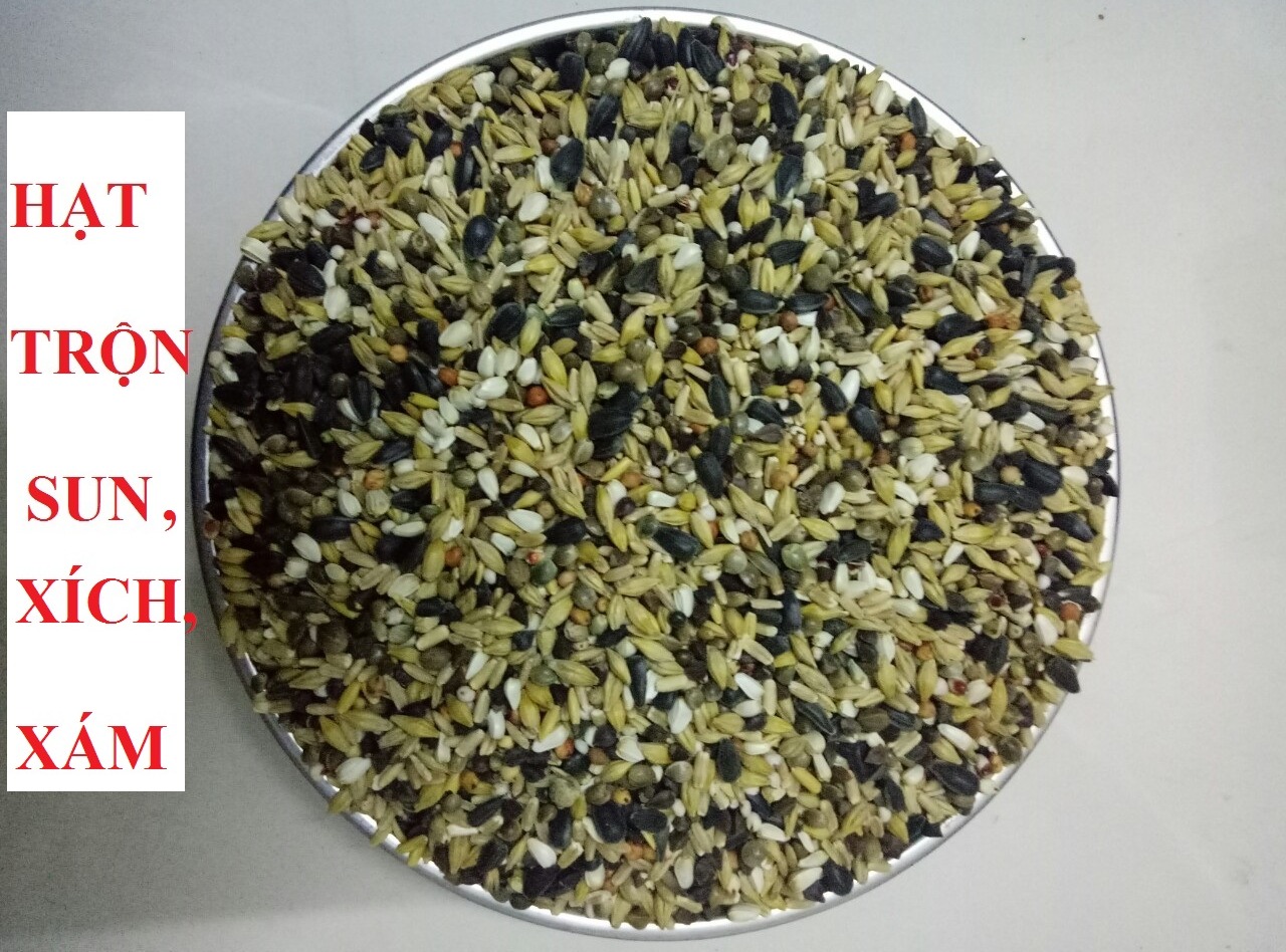 1KG HẠT TRỘN CHO SUN CORUNES, XÍCH, RING NECK, MONK, LORY