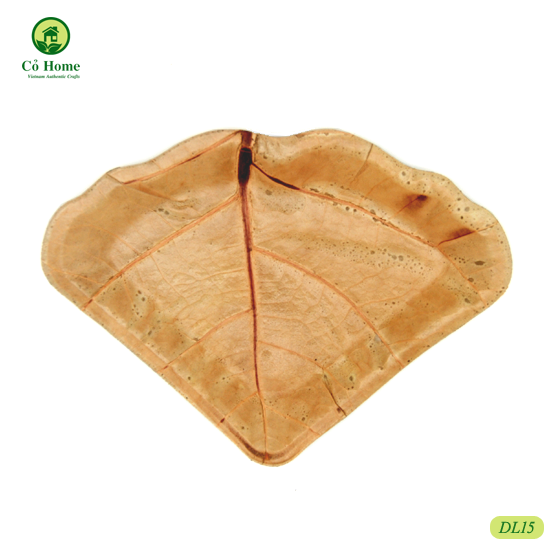 SET 10 ĐĨA LÁ- ĐĨA ĐỘC ĐÁO- CỎ HOME