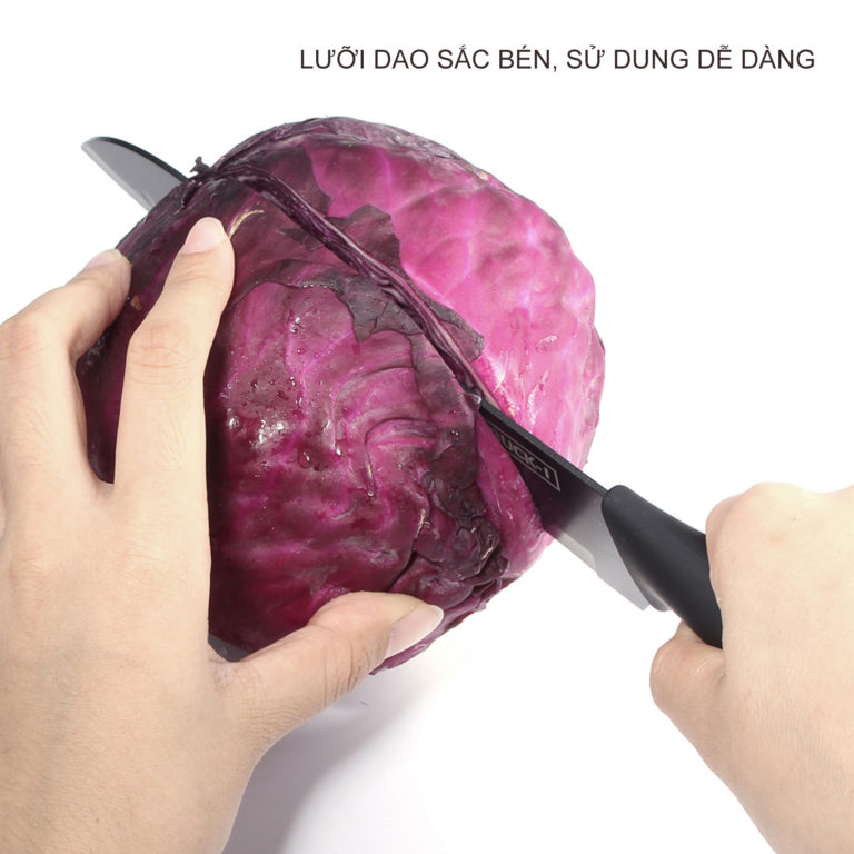 [FREE SHIP ] Bộ dao Buck 5 món làm bếp cao cấp