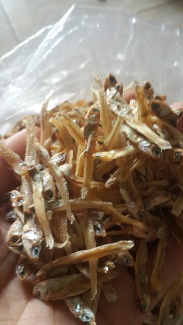 cá cơm biển cửa lò