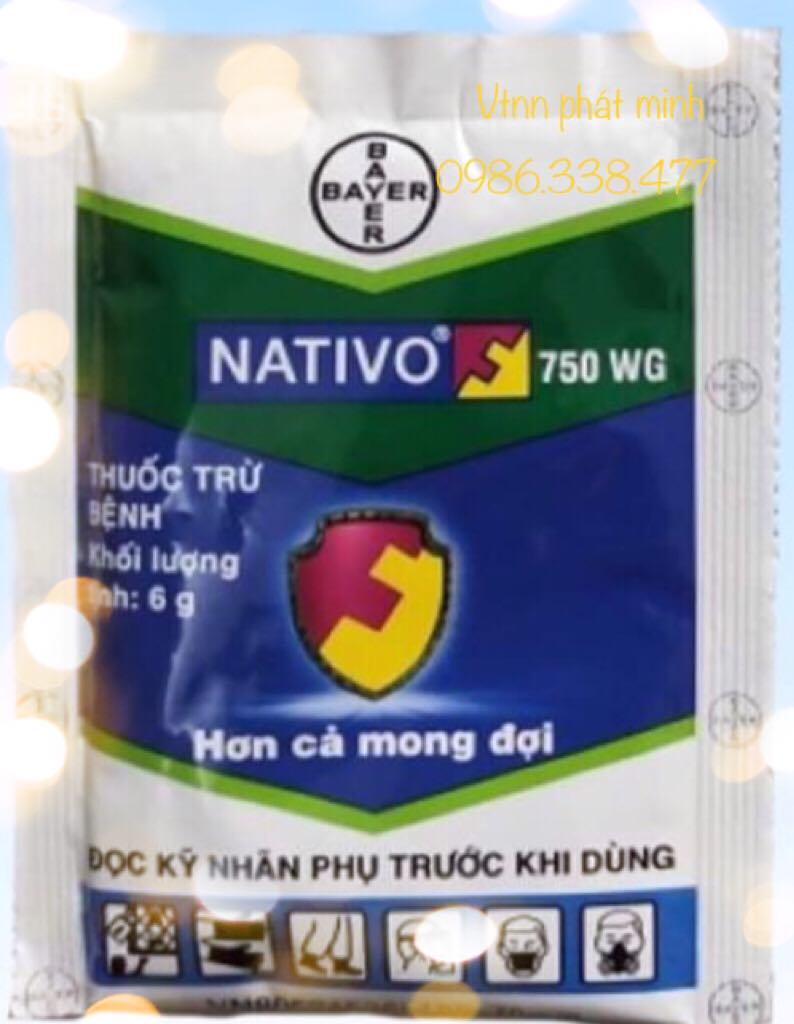 Thuốc trừ bệnh NATIVO 750WG (6g)