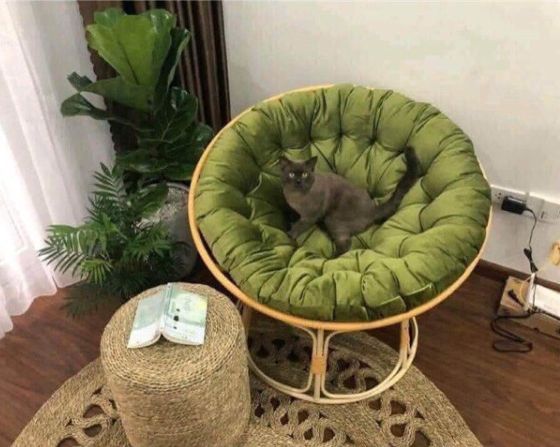 Ghế Nệm Tròn papasan Thư Giãn Phòng Khách