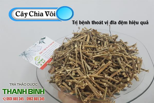 Cây Chìa Vôi 1KG - Thảo Dược Thanh Bình