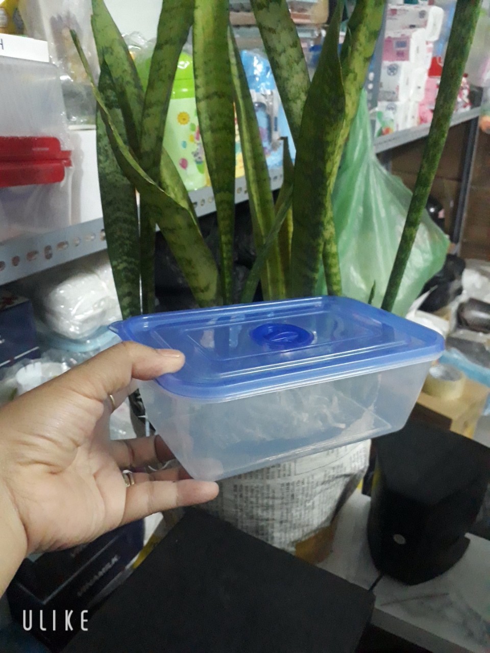 COMBO 5 HỘP NHỰA CHỮ NHẬT 800ML