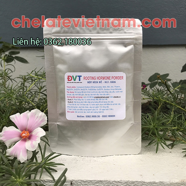 T - ROOT 100% (V.02) - Dung dịch siêu kích thích ra rễ (chai 50ml)