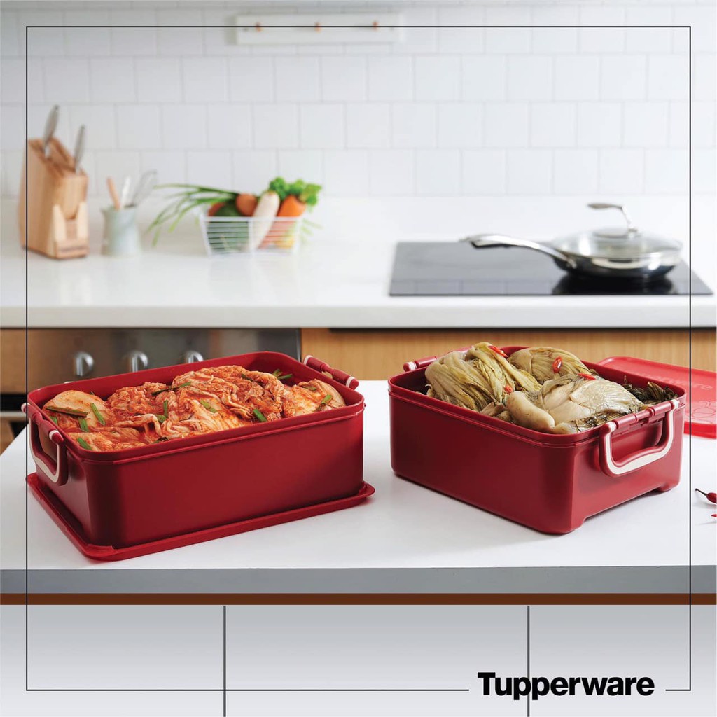 [Xả Kho Tết] Tupperware - Bộ hộp bảo quản thực phẩm ngâm