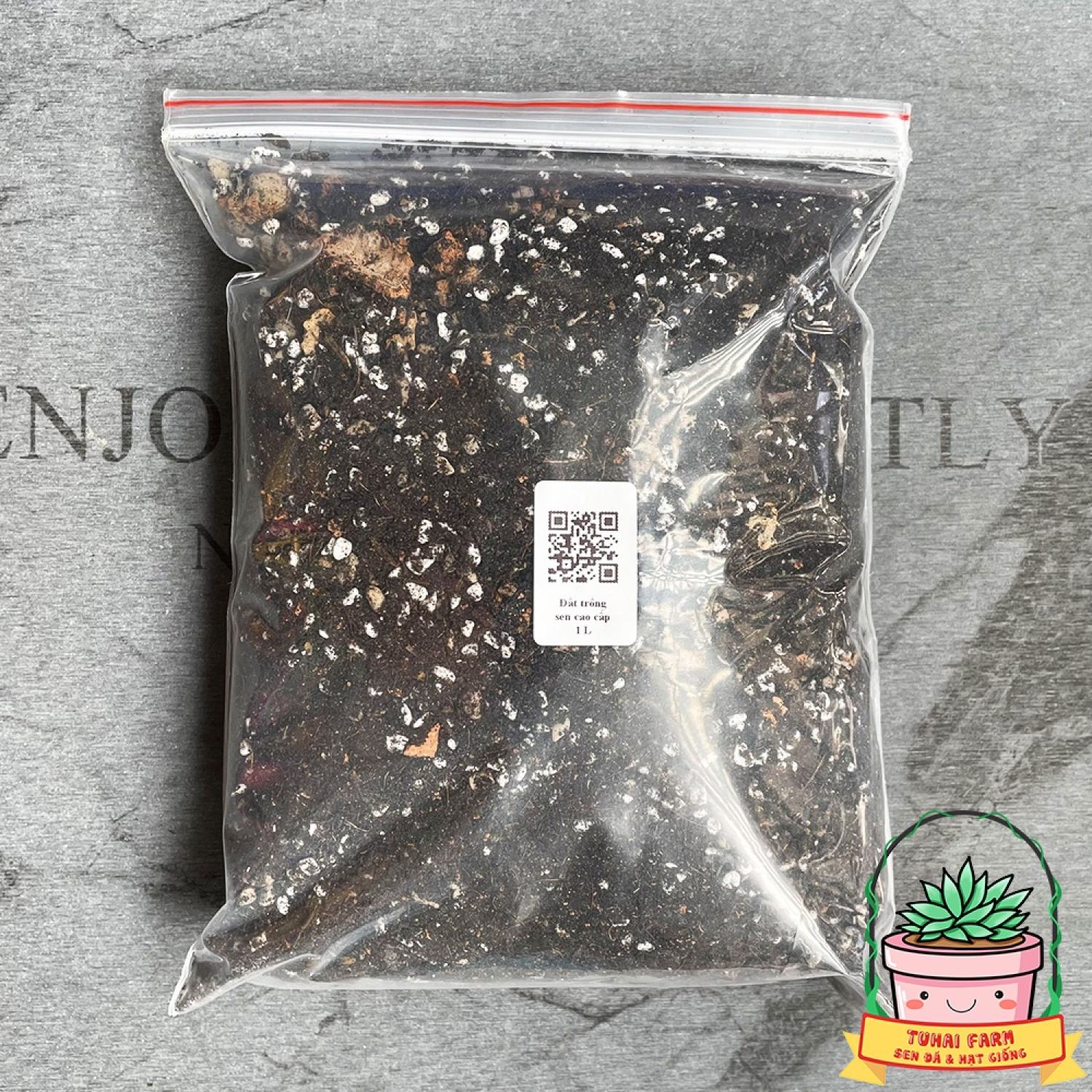 Đất trồng sen đá trộn sẵn - Đất chuyên dụng cho cây sen đá