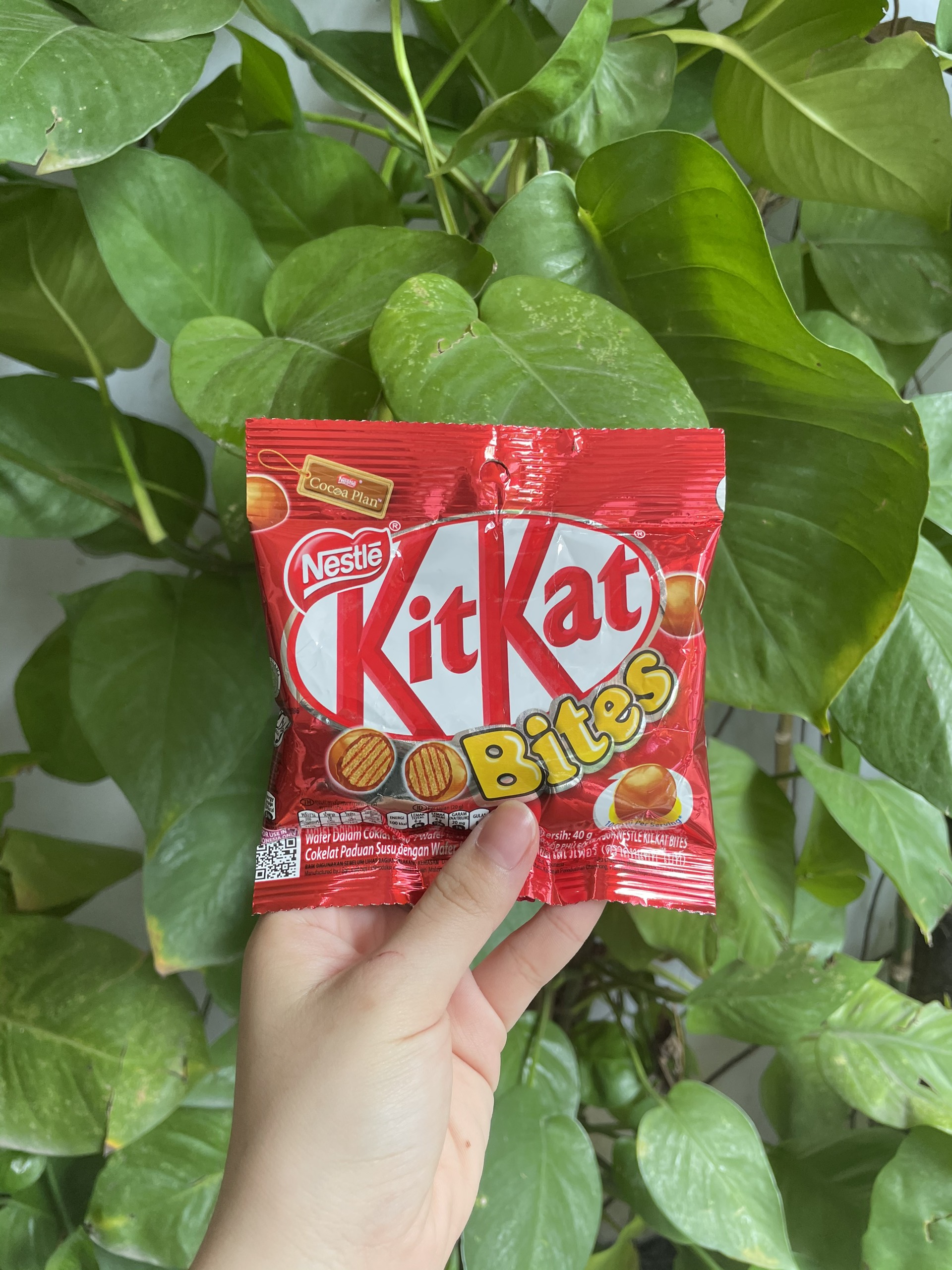Nestlé Kitkat Bites Chocolate (40g Pack)