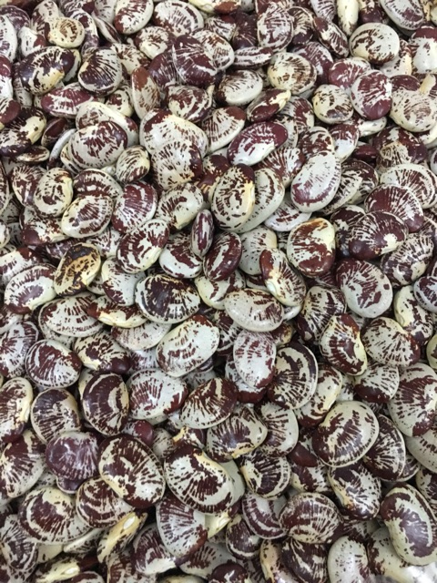 Đậu ngự loại ngon đặc biệt (0.5kg hút chân không)