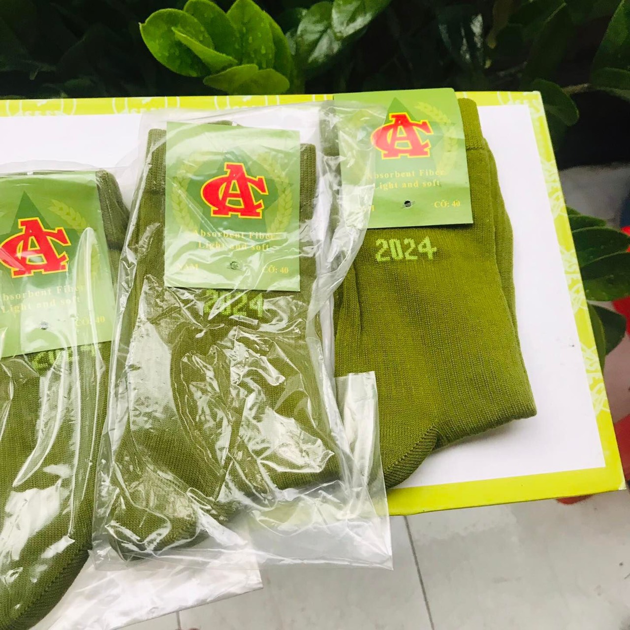 tất Vớ Xanh Công Sở An