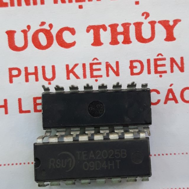 5c IC TEA 2025