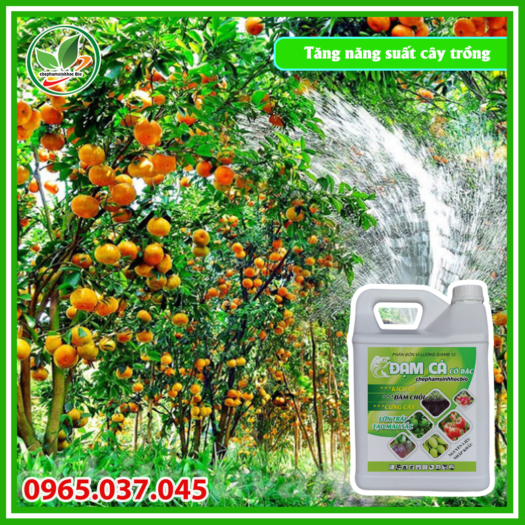 Phân đạm cá đậm đắc hữu cơ sinh học Bio. Can 5l